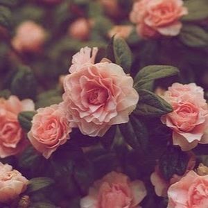 Meet your Posher, Eboni